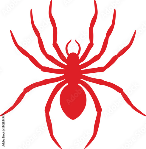 vector illustration of a spider