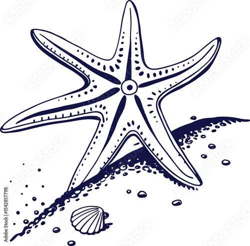 A captivating vector illustration featuring a starfish, a sea star symbol, and a Star of David design