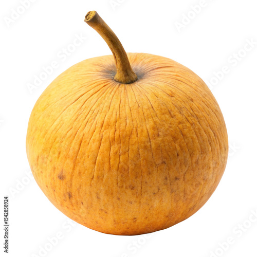 Santol Fruit Isolated on White Background
 photo