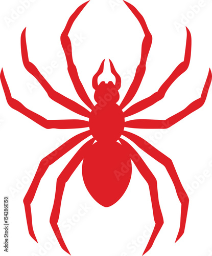 crab Spider on white background