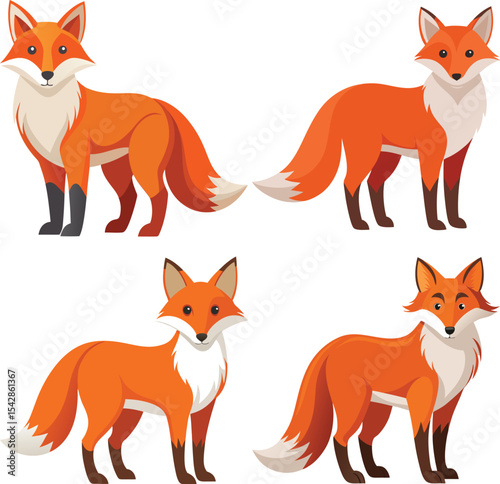 Four adorable cartoon foxes illustration set