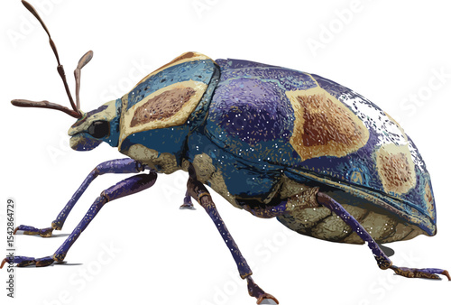 insect vector art