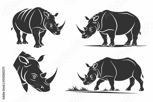 rhino