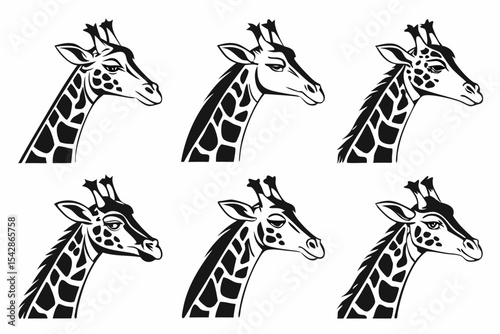 giraffe vector illustration