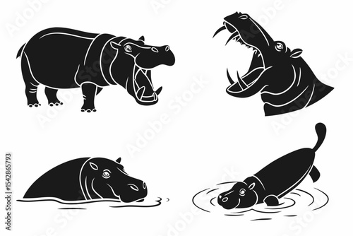 rhino and zebra