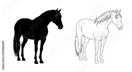 Black and Line Art Horse Illustrations: Side Profile, Standing Pose