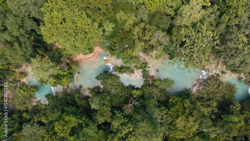 A lush green forest with a river running through it