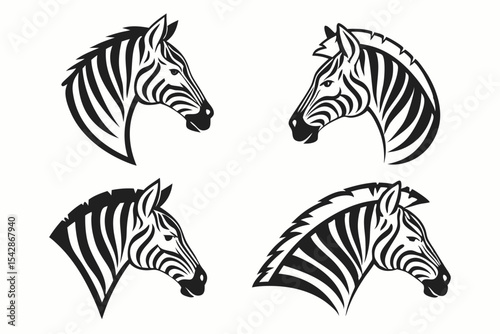 zebra