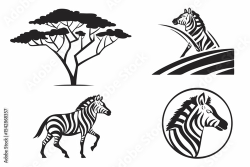 zebra vector illustration
