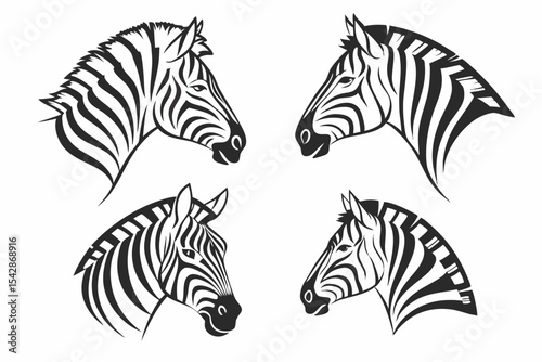 zebra vector illustration