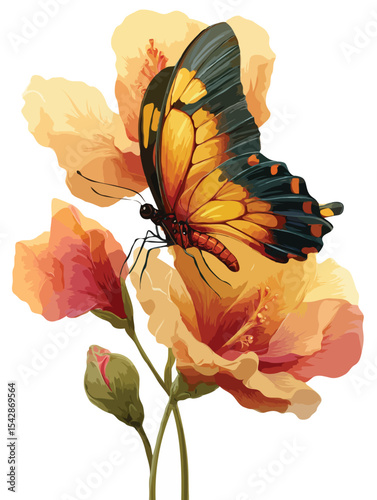 butterfly on flower