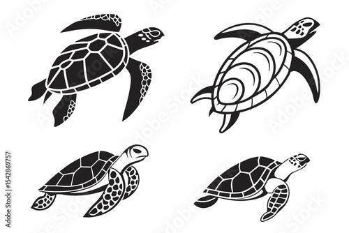 set of sea turtles