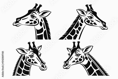 giraffe vector illustration