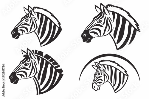 zebra vector illustration