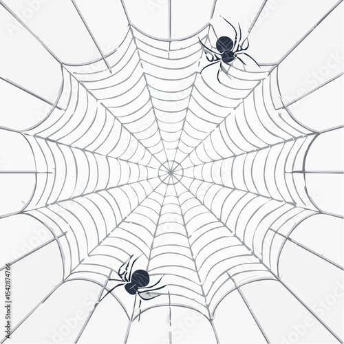 vector Network of interconnected shapes inspired by the structure of spider silk