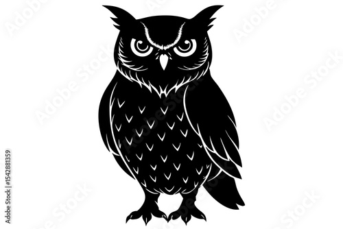 owl on white background