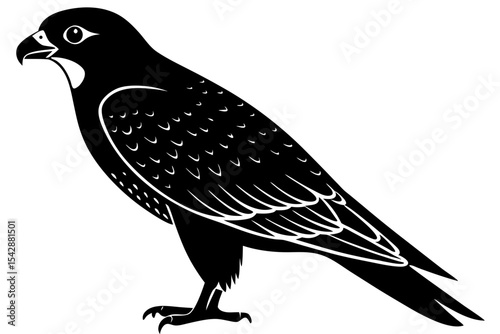 bird on a branch