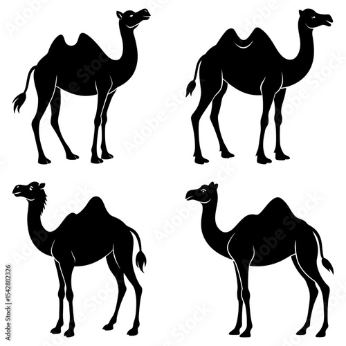 Illustration showing four black silhouette of camels in different poses on a white background