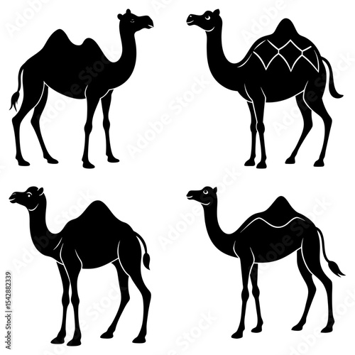 Four black silhouette camels in different poses stand against a white background in a simple vector image