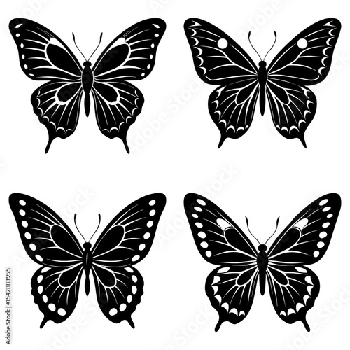 Four black and white butterfly illustrations with varied wing patterns and symmetrical designs displayed together