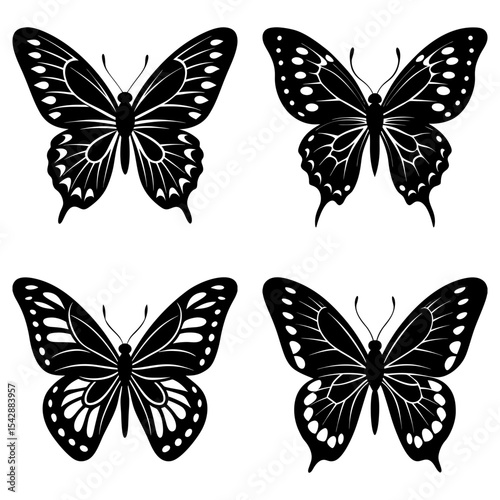 Four black and white butterfly illustrations with different wing patterns in a symmetrical arrangement