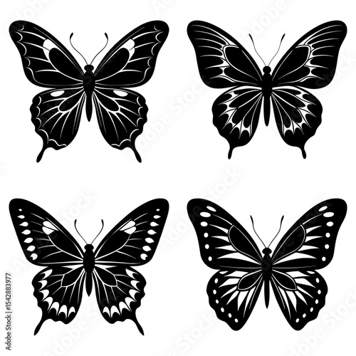 Four black and white butterflies with different wing patterns arranged in a square format design element