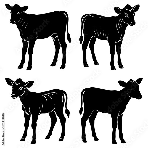 Illustration of four black silhouette calves standing in different poses on a white background art