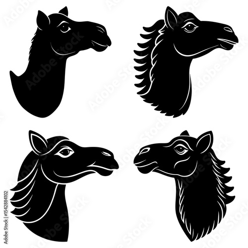 Four camel heads in black silhouette showing different mane styles and head positions on white background
