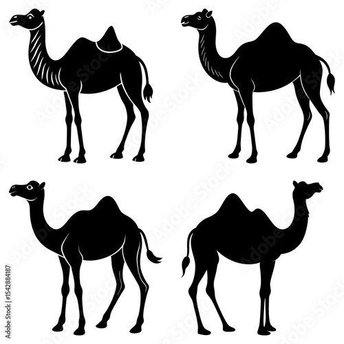 Illustration of four black silhouette camels in various poses and orientations on a white background