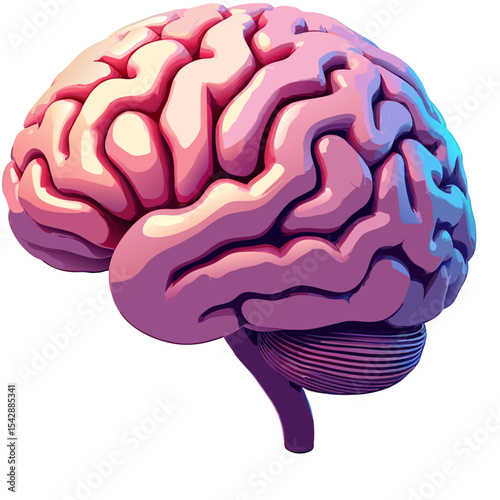 Digitally Rendered Illustration of a Human Brain Against a Black Background for Educational Purposes