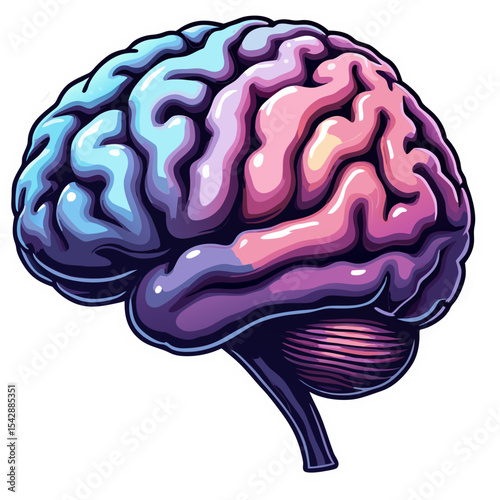 Colorful and Stylized Illustration of a Human Brain Against a Black Background