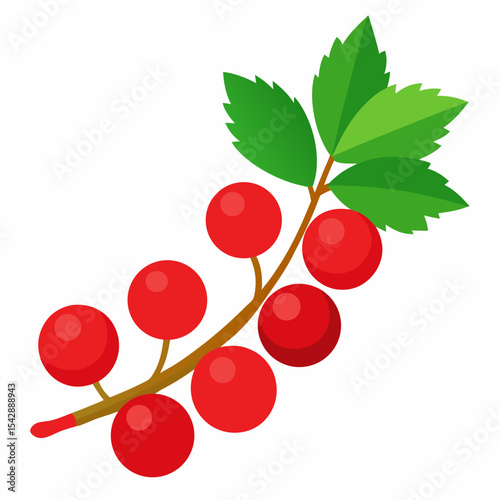 branch of cherry