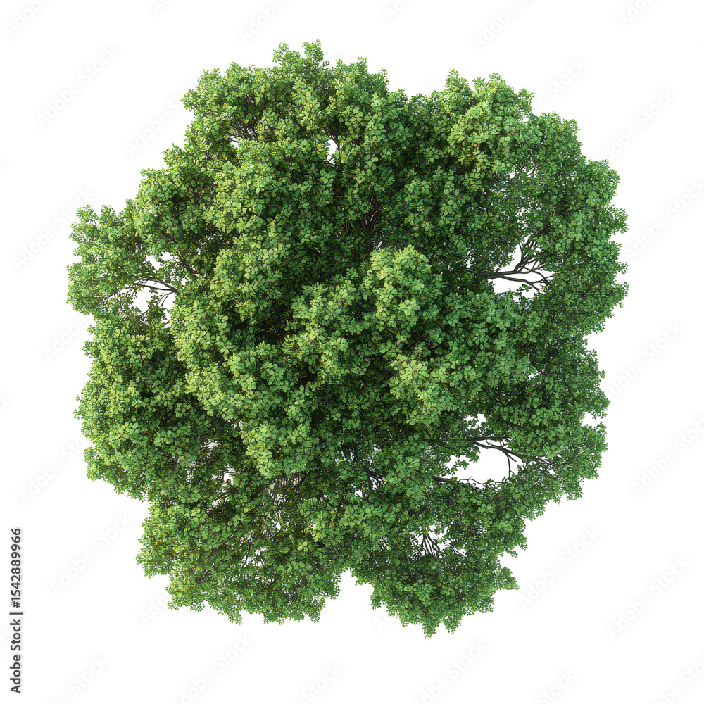 Obraz premium Top view of lush green tree isolated on Transparent background showcasing detailed leaf structure and healthy canopy, tree top view isolated on PNG background