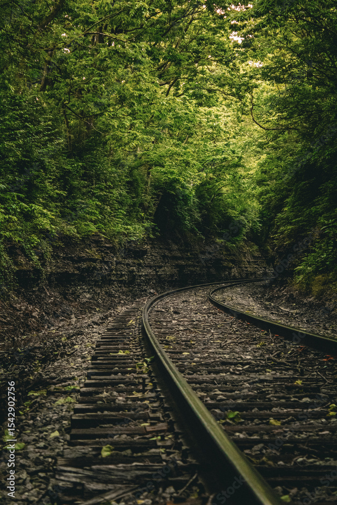 Obraz premium Railroad