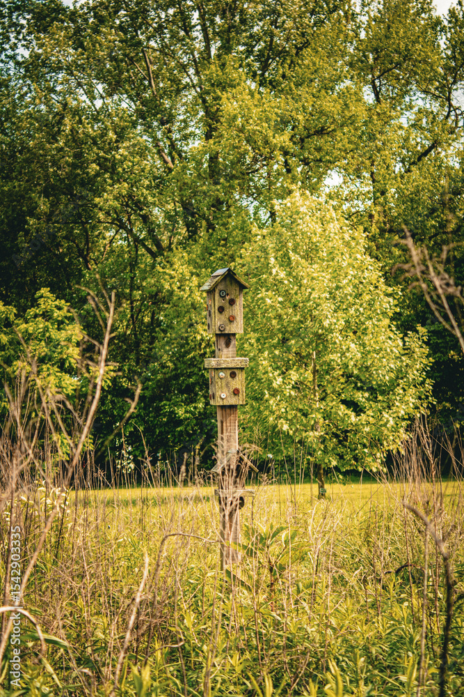 Fototapeta premium Birdhouse