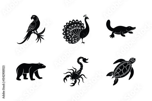 Black silhouettes of various animals collection