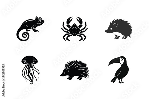 Six black silhouettes of wild animals