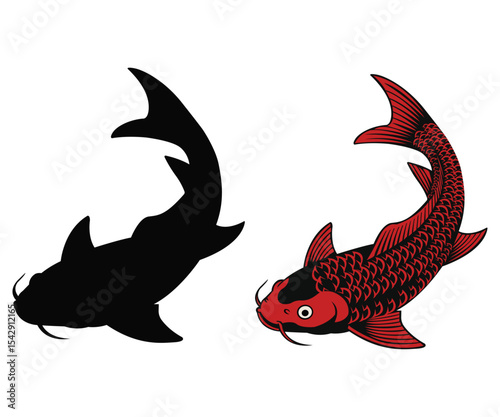koi fish vector illustration, red koi fish graphic art