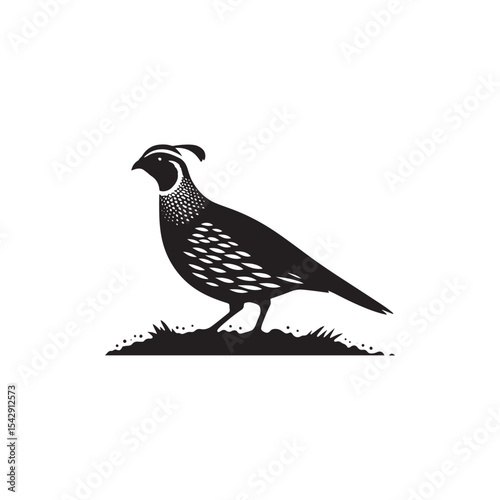 Elegant Quail Vector Silhouette Design – Bold Wildlife Icon Featuring Upright Pose and Distinct Feather Plume, Perfect for Countryside Artwork, Farm Logos, and Woodland Illustration Styles

