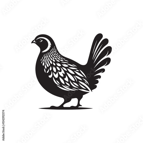 Elegant Quail Vector Silhouette Design – Bold Wildlife Icon Featuring Upright Pose and Distinct Feather Plume, Perfect for Countryside Artwork, Farm Logos, and Woodland Illustration Styles

