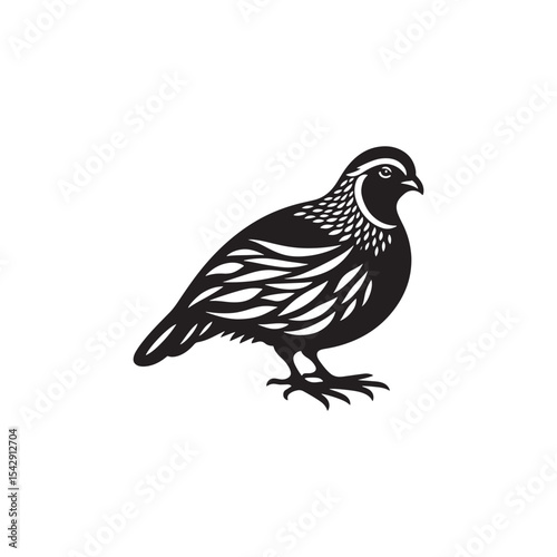 Elegant Quail Vector Silhouette Design – Bold Wildlife Icon Featuring Upright Pose and Distinct Feather Plume, Perfect for Countryside Artwork, Farm Logos, and Woodland Illustration Styles

