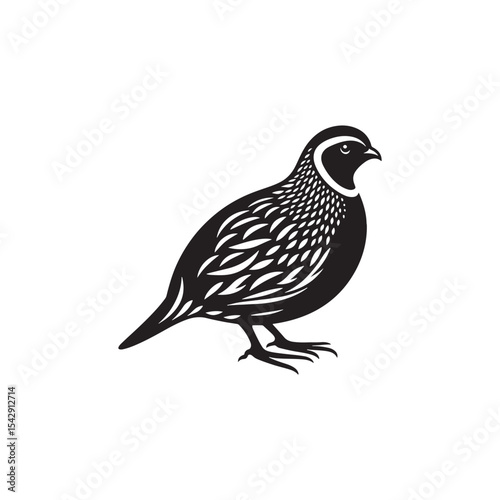 Graceful Quail Silhouette Vector Art – Small Game Bird with Curved Topknot and Rounded Body, Minimalist Black Outline for Rustic Decor, Hunting Themes, and Nature Graphics

