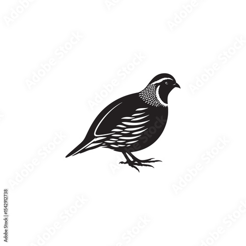 Elegant Quail Vector Silhouette Design – Bold Wildlife Icon Featuring Upright Pose and Distinct Feather Plume, Perfect for Countryside Artwork, Farm Logos, and Woodland Illustration Styles

