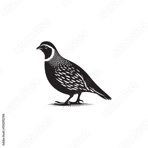 Elegant Quail Vector Silhouette Design – Bold Wildlife Icon Featuring Upright Pose and Distinct Feather Plume, Perfect for Countryside Artwork, Farm Logos, and Woodland Illustration Styles


