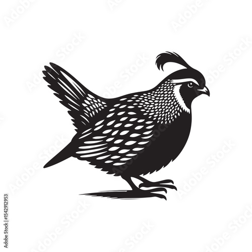 Graceful Quail Silhouette Vector Art – Small Game Bird with Curved Topknot and Rounded Body, Minimalist Black Outline for Rustic Decor, Hunting Themes, and Nature Graphics

