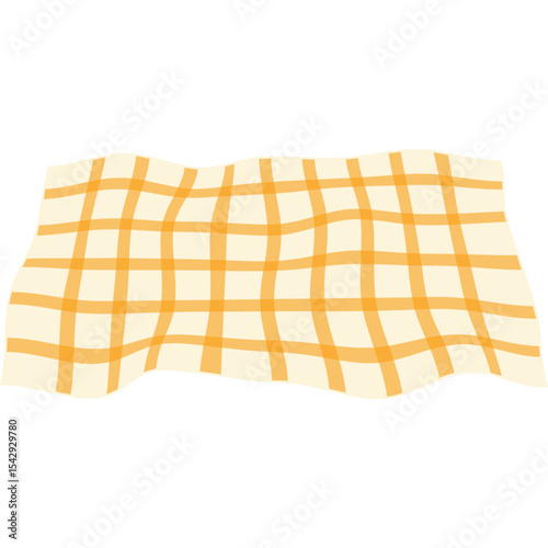 Picnic Blanket Illustration
