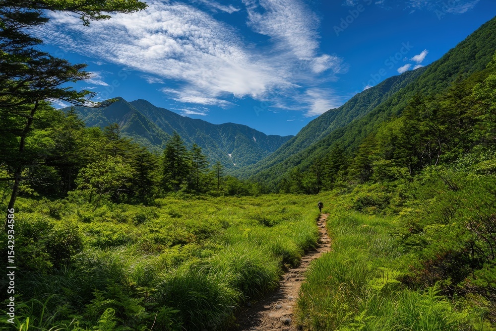 Fototapeta premium A scenic mountain path winds through lush greenery.