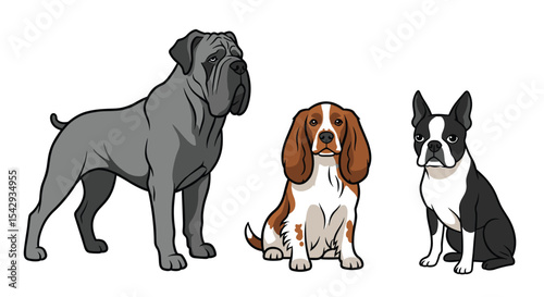 Adobe Illustrator Artwork
