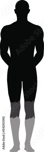 Silhouette of Male Human Body with Highlighted Lower Legs and Thighs, Back View Medical or Fitness Illustration