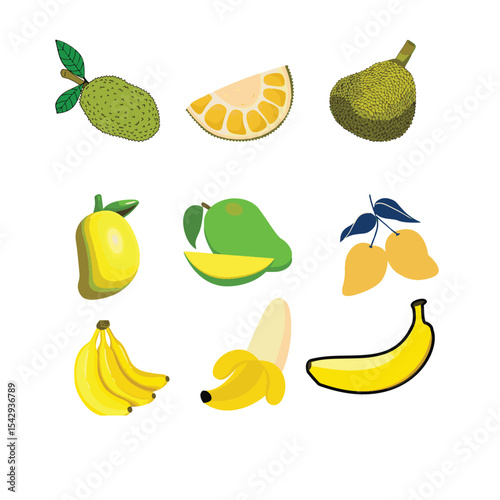 Vector Set of Fresh Summer Fruits: Mango, Jackfruit, Banana, and More
